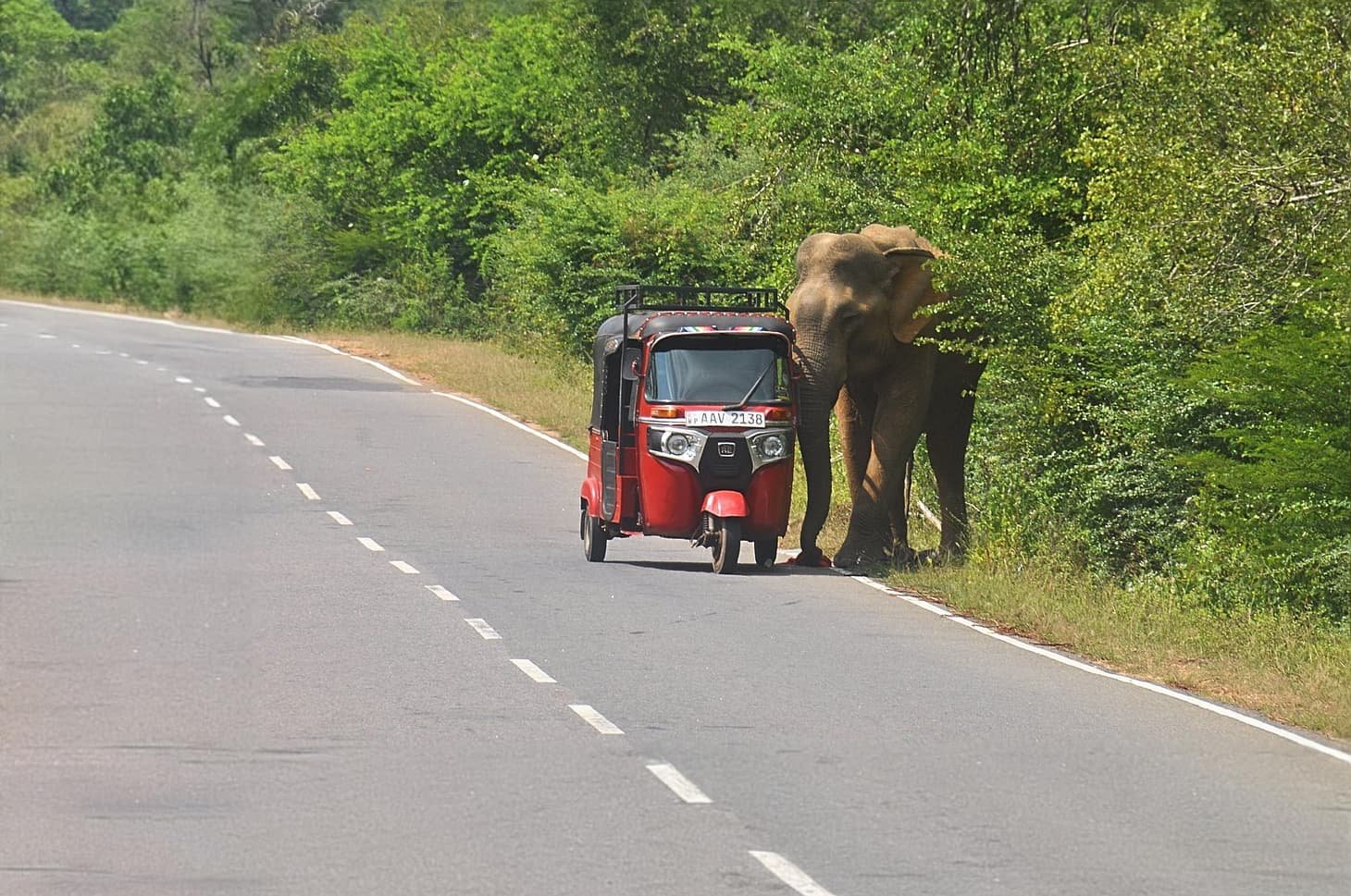 Pick and Go Tuk Tuk Rental